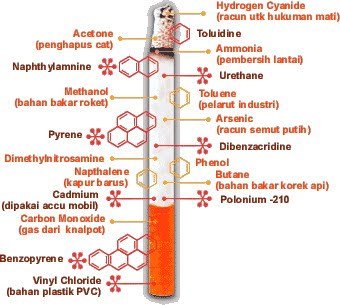 bahaya-merokok